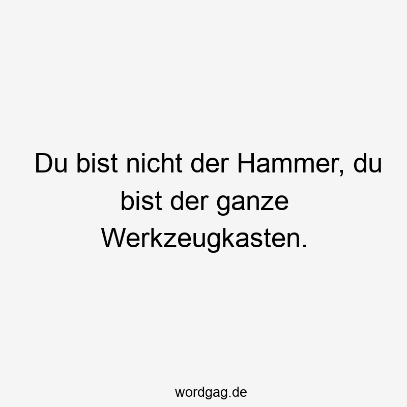 Lustige Werkzeugkasten Sprüche - Du bist nicht der Hammer, du bist der ganze Werkzeugkasten.