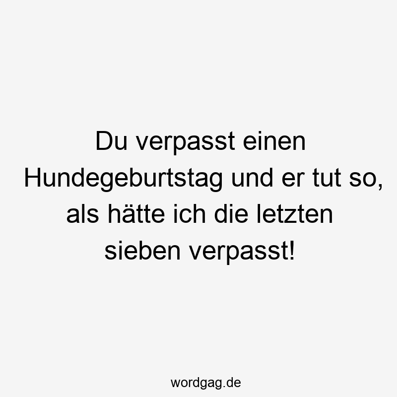 Du verpasst einen Hundegeburtstag und er tut so, als hätte ich die letzten sieben verpasst!