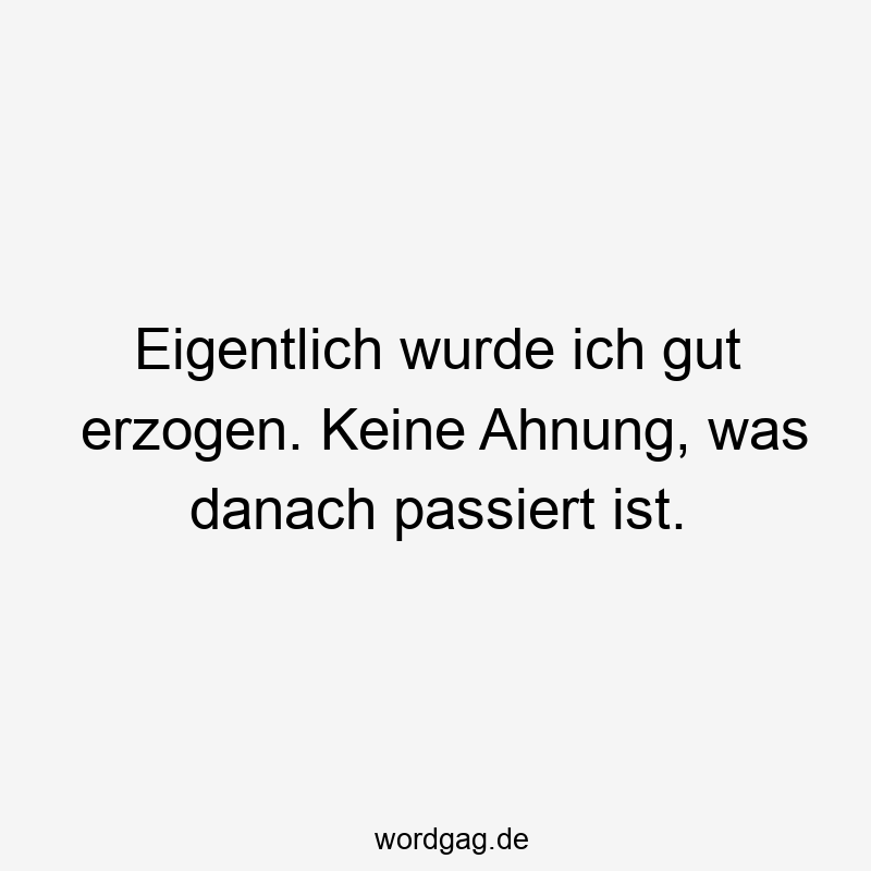 Eigentlich wurde ich gut erzogen. Keine Ahnung, was danach passiert ist.