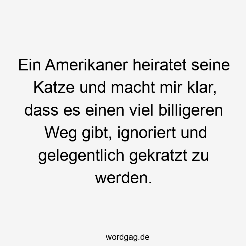 Ein Amerikaner heiratet seine Katze und macht mir klar, dass es einen viel billigeren Weg gibt, ignoriert und gelegentlich gekratzt zu werden.