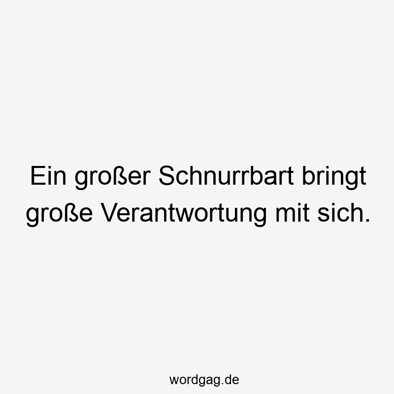 67 Lustige große Sprüche - Ein großer Schnurrbart bringt große Verantwortung mit sich.