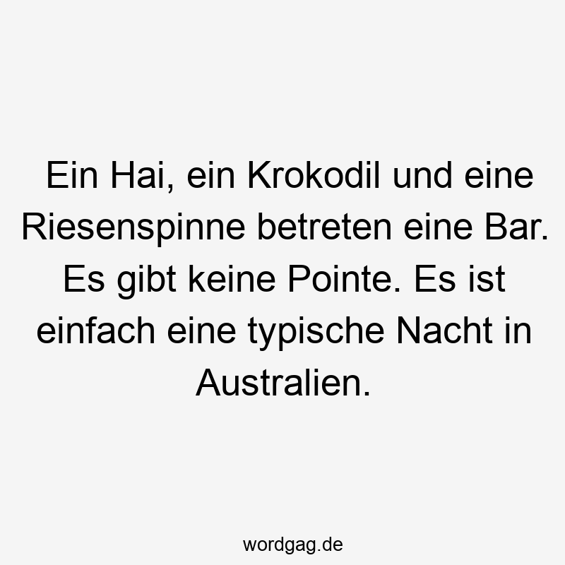 Ein Hai, ein Krokodil und eine Riesenspinne betreten eine Bar. Es gibt keine Pointe. Es ist einfach eine typische Nacht in Australien.