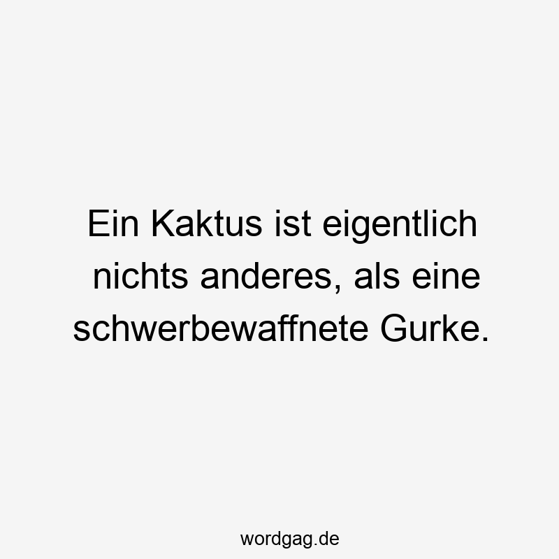 Kaktus - Ein Kaktus ist eigentlich nichts anderes, als eine schwerbewaffnete Gurke.