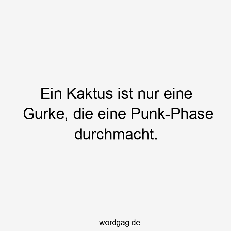 Kaktus - Ein Kaktus ist nur eine Gurke, die eine Punk-Phase durchmacht.