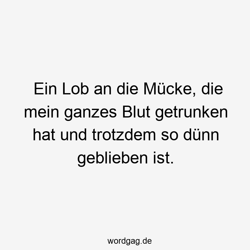 Ein Lob an die Mücke, die mein ganzes Blut getrunken hat und trotzdem so dünn geblieben ist.