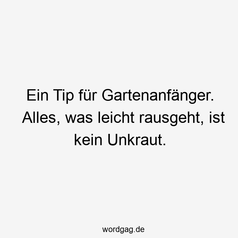 Lustige Sprüche: Pflanzen - Ein Tip für Gartenanfänger. Alles, was leicht rausgeht, ist kein Unkraut.
