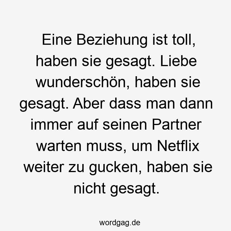 Eine Beziehung ist toll, haben sie gesagt. Liebe wunderschön, haben sie gesagt. Aber dass man dann immer auf seinen Partner warten muss, um Netflix weiter zu gucken, haben sie nicht gesagt.