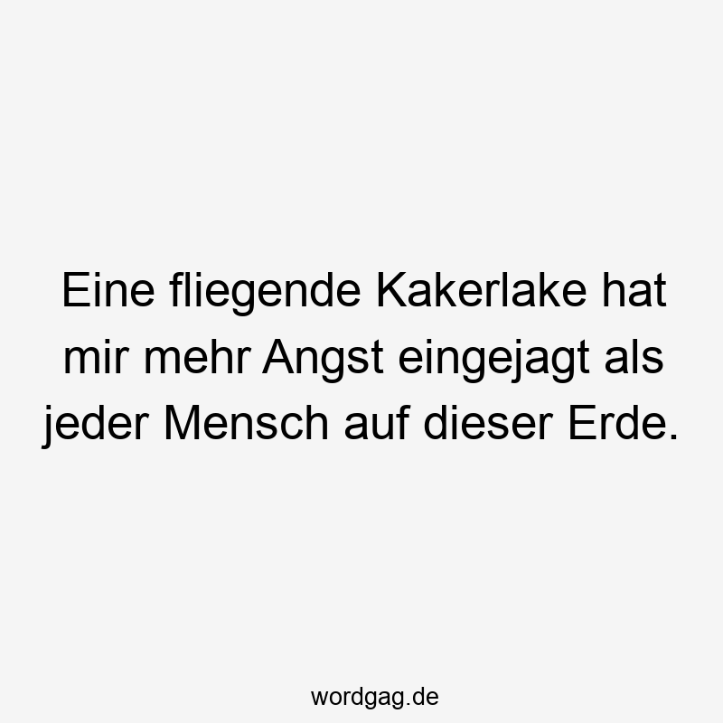 Eine fliegende Kakerlake hat mir mehr Angst eingejagt als jeder Mensch auf dieser Erde.