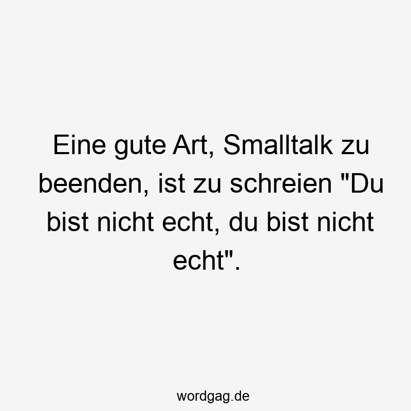 Lustige Sprüche: nicht echt - Eine gute Art, Smalltalk zu beenden, ist zu schreien „Du bist nicht echt, du bist nicht echt“.