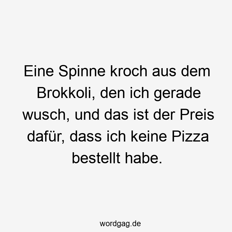 Eine Spinne kroch aus dem Brokkoli, den ich gerade wusch, und das ist der Preis dafür, dass ich keine Pizza bestellt habe.