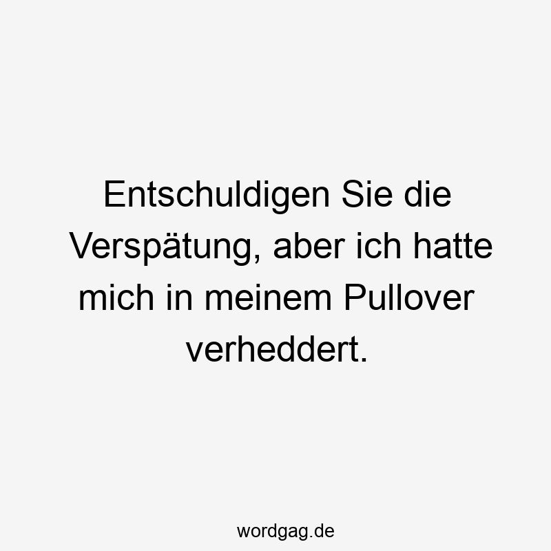 Entschuldigen Sie die Verspätung, aber ich hatte mich in meinem Pullover verheddert.