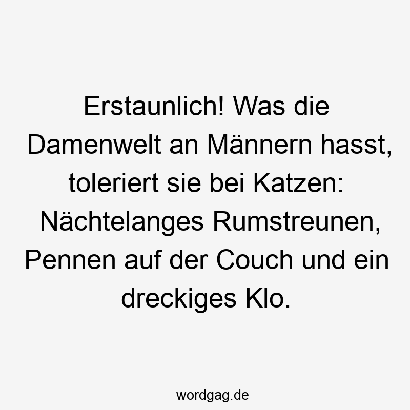 Erstaunlich! Was die Damenwelt an Männern hasst, toleriert sie bei Katzen: Nächtelanges Rumstreunen, Pennen auf der Couch und ein dreckiges Klo.