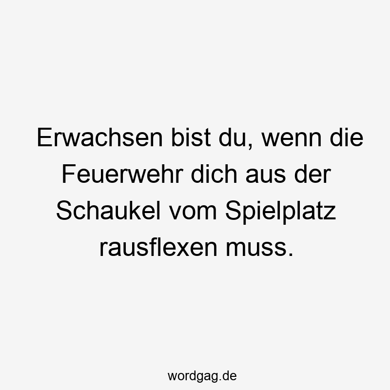 Lustige Schaukel Sprüche - Erwachsen bist du, wenn die Feuerwehr dich aus der Schaukel vom Spielplatz rausflexen muss.