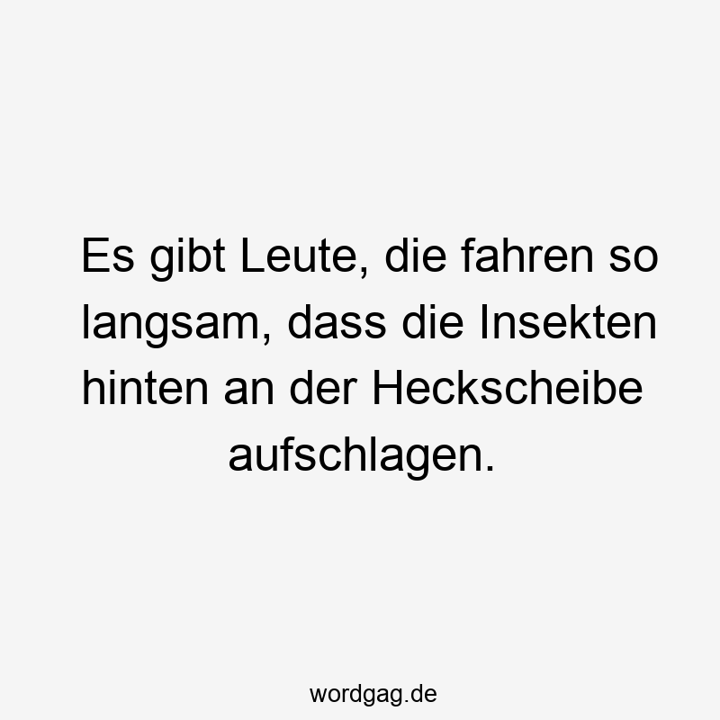 Es gibt Leute, die fahren so langsam, dass die Insekten hinten an der Heckscheibe aufschlagen.