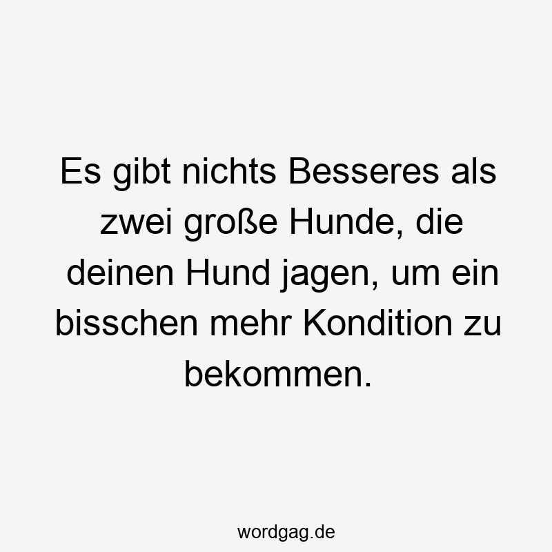 Es gibt nichts Besseres als zwei große Hunde, die deinen Hund jagen, um ein bisschen mehr Kondition zu bekommen.