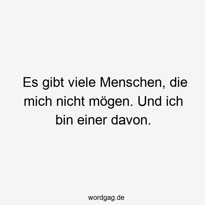 203 Lustige viele Sprüche - Es gibt viele Menschen, die mich nicht mögen. Und ich bin einer davon.