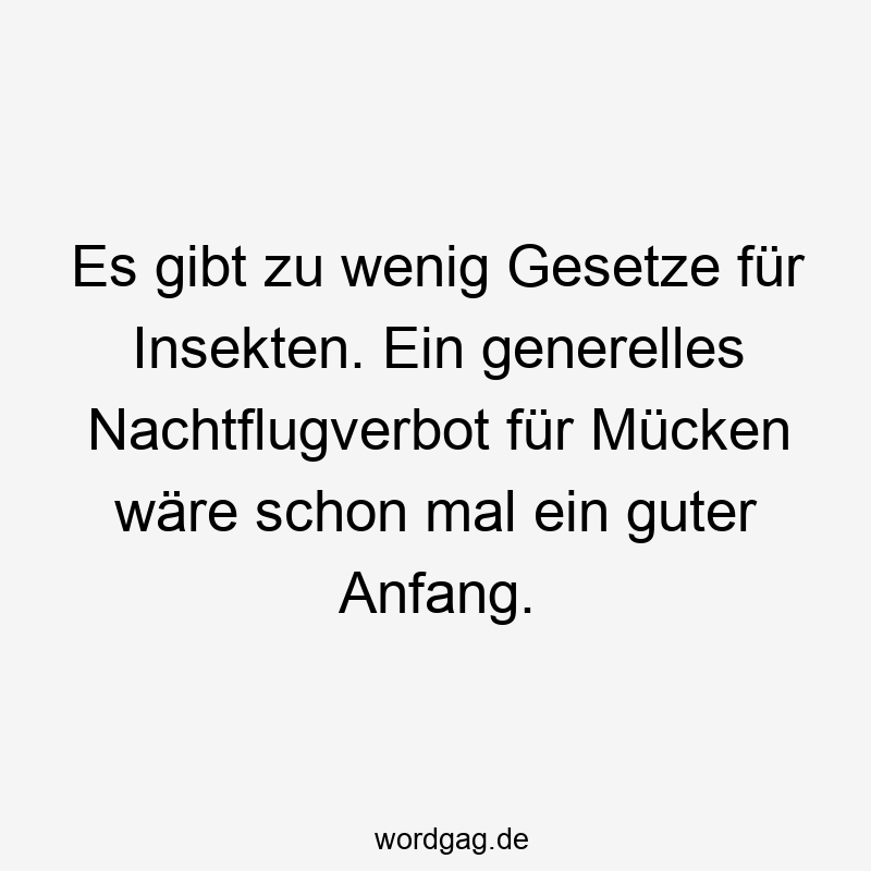 Es gibt zu wenig Gesetze für Insekten. Ein generelles Nachtflugverbot für Mücken wäre schon mal ein guter Anfang.