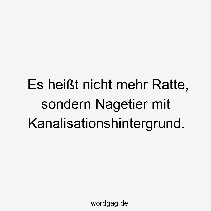 Es heißt nicht mehr Ratte, sondern Nagetier mit Kanalisationshintergrund.