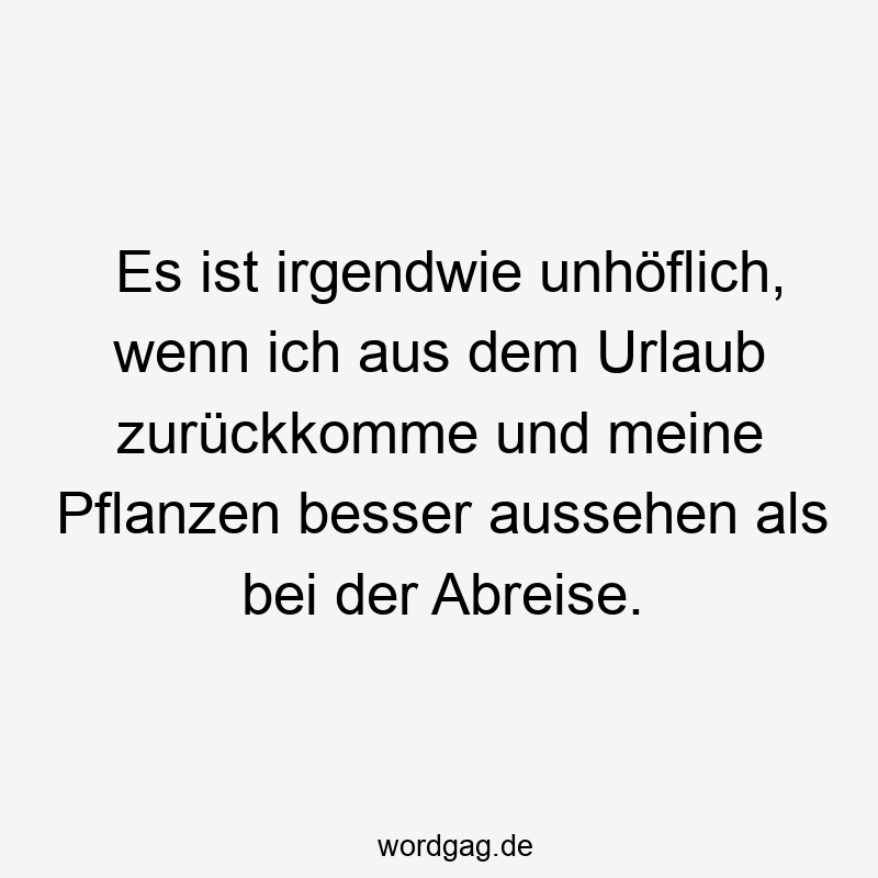 Lustige Sprüche: Pflanzen - Es ist irgendwie unhöflich, wenn ich aus dem Urlaub zurückkomme und meine Pflanzen besser aussehen als bei der Abreise.