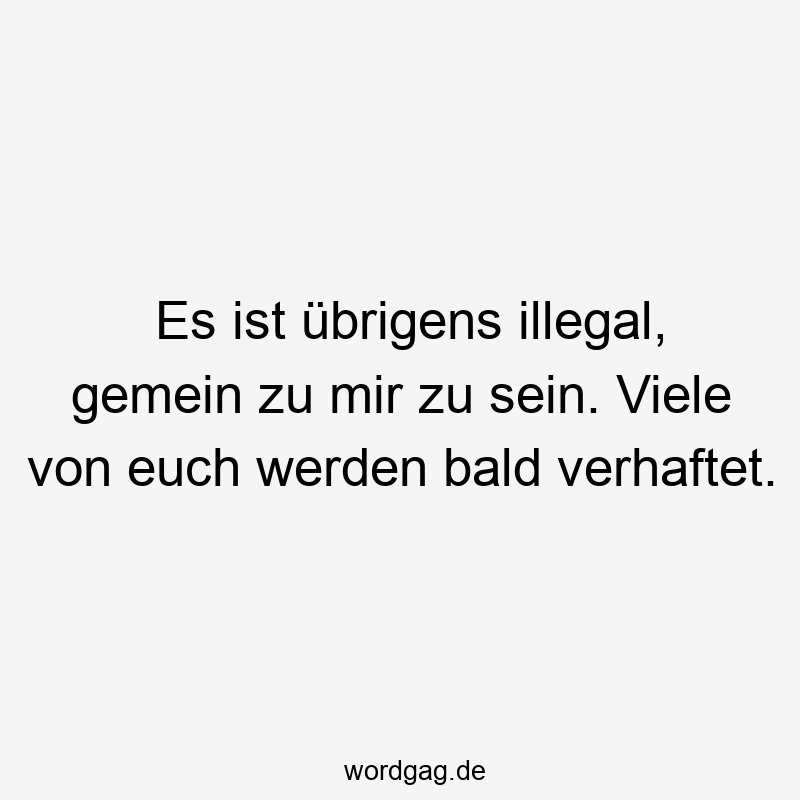 Es ist übrigens illegal, gemein zu mir zu sein. Viele von euch werden bald verhaftet.