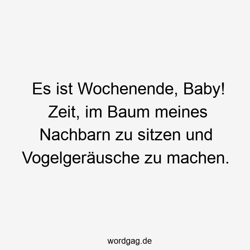 146 Lustige Freizeit Sprüche - Es ist Wochenende, Baby! Zeit, im Baum meines Nachbarn zu sitzen und Vogelgeräusche zu machen.