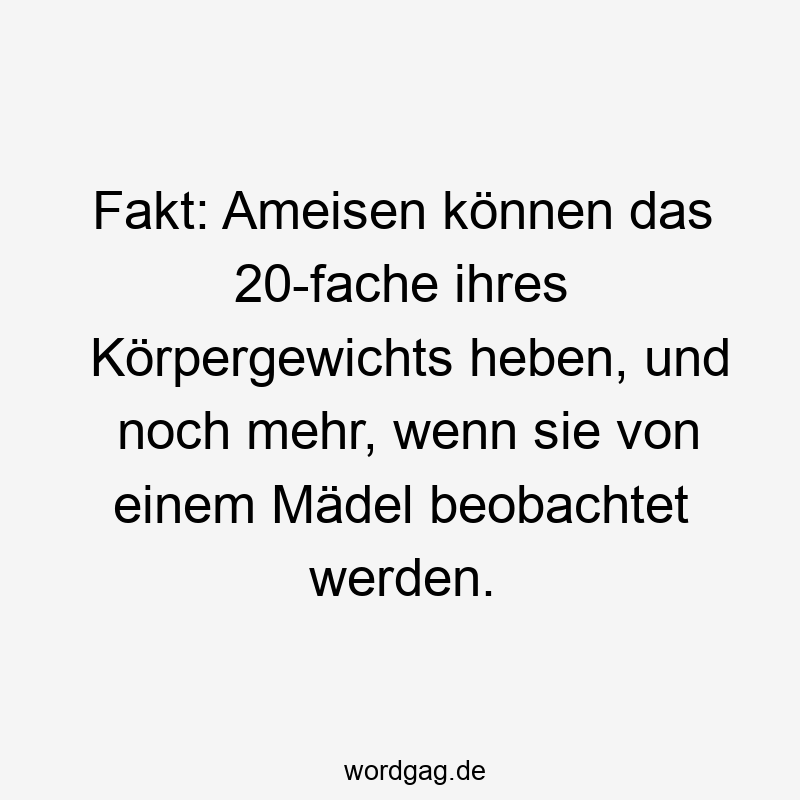 Fakt: Ameisen können das 20-fache ihres Körpergewichts heben, und noch mehr, wenn sie von einem Mädel beobachtet werden.
