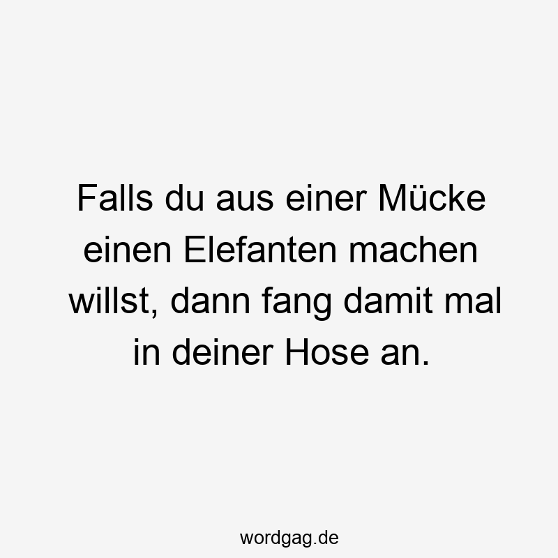 Falls du aus einer Mücke einen Elefanten machen willst, dann fang damit mal in deiner Hose an.
