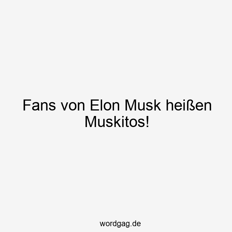 Fans von Elon Musk heißen Muskitos!