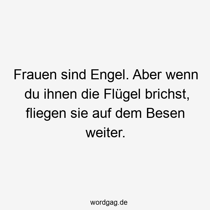 Frauen sind Engel. Aber wenn du ihnen die Flügel brichst, fliegen sie auf dem Besen weiter.