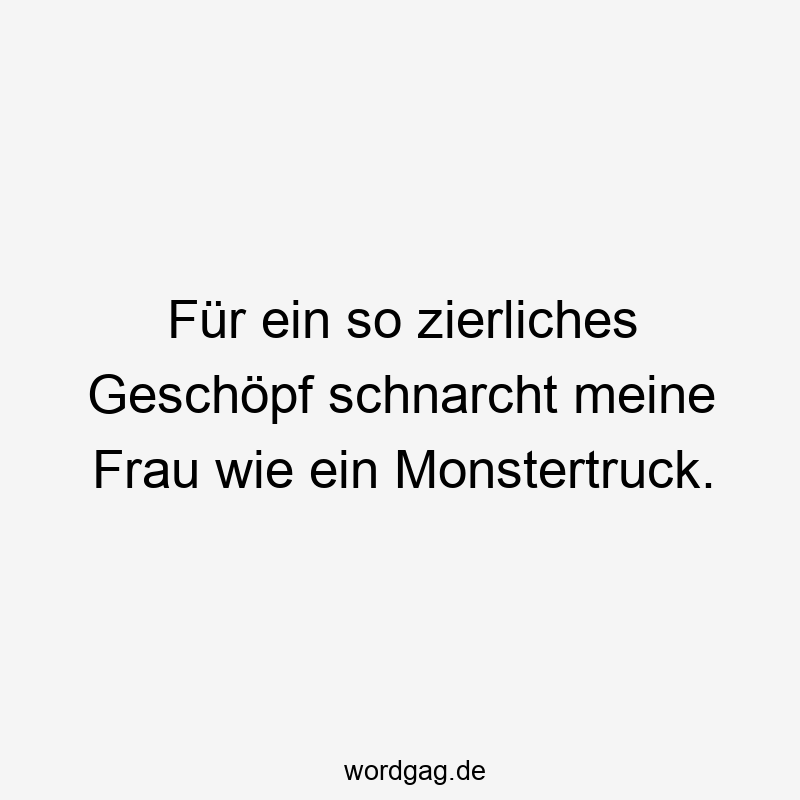 Für ein so zierliches Geschöpf schnarcht meine Frau wie ein Monstertruck.