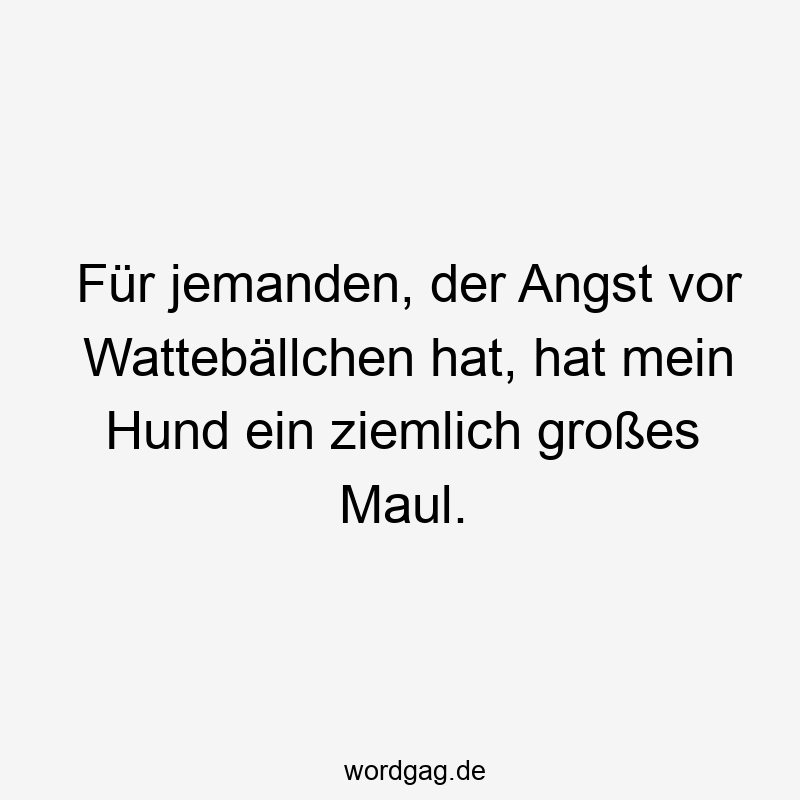 Für jemanden, der Angst vor Wattebällchen hat, hat mein Hund ein ziemlich großes Maul.