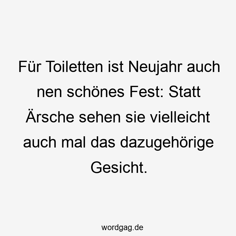 Für Toiletten ist Neujahr auch nen schönes Fest: Statt Ärsche sehen sie vielleicht auch mal das dazugehörige Gesicht.