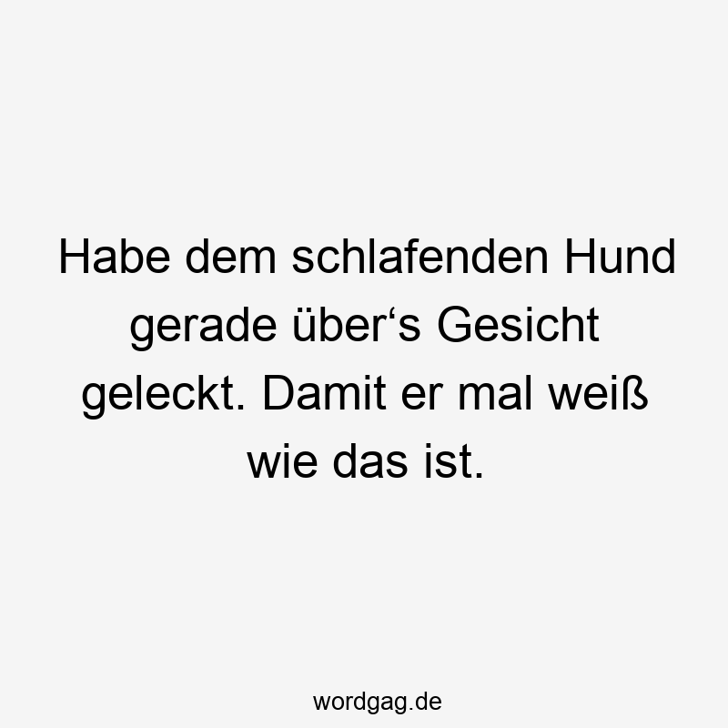 Habe dem schlafenden Hund gerade über‘s Gesicht geleckt. Damit er mal weiß wie das ist.