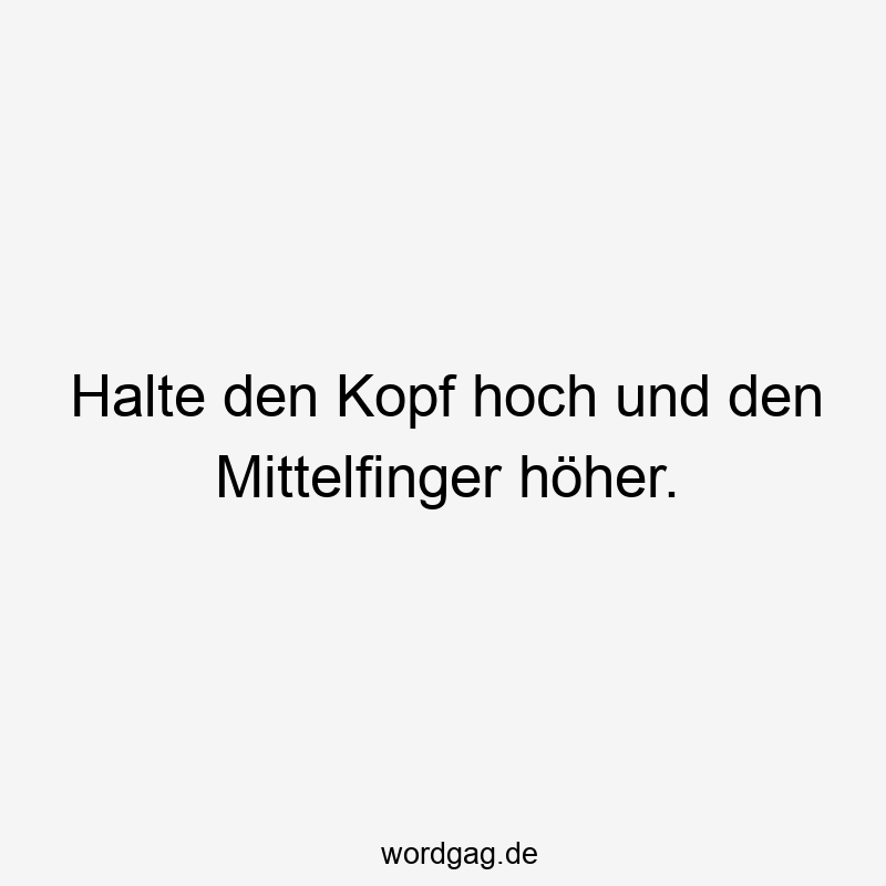 Halte den Kopf hoch und den Mittelfinger höher.