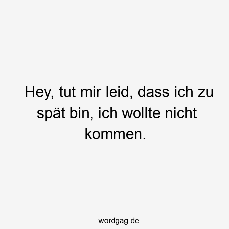 Hey, tut mir leid, dass ich zu spät bin, ich wollte nicht kommen.