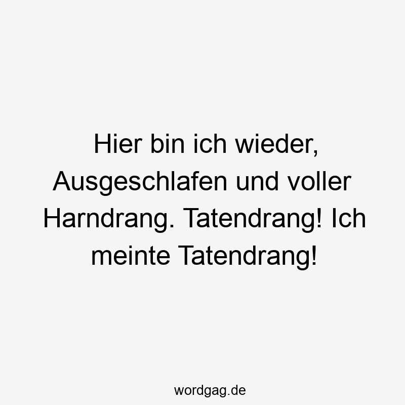 Hier bin ich wieder, Ausgeschlafen und voller Harndrang. Tatendrang! Ich meinte Tatendrang!