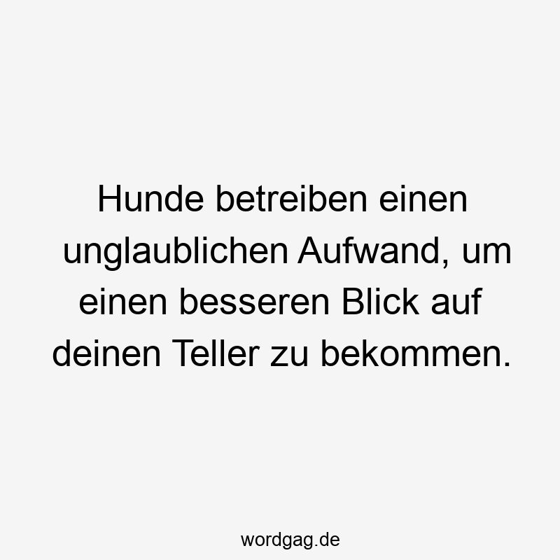 Hunde betreiben einen unglaublichen Aufwand, um einen besseren Blick auf deinen Teller zu bekommen.