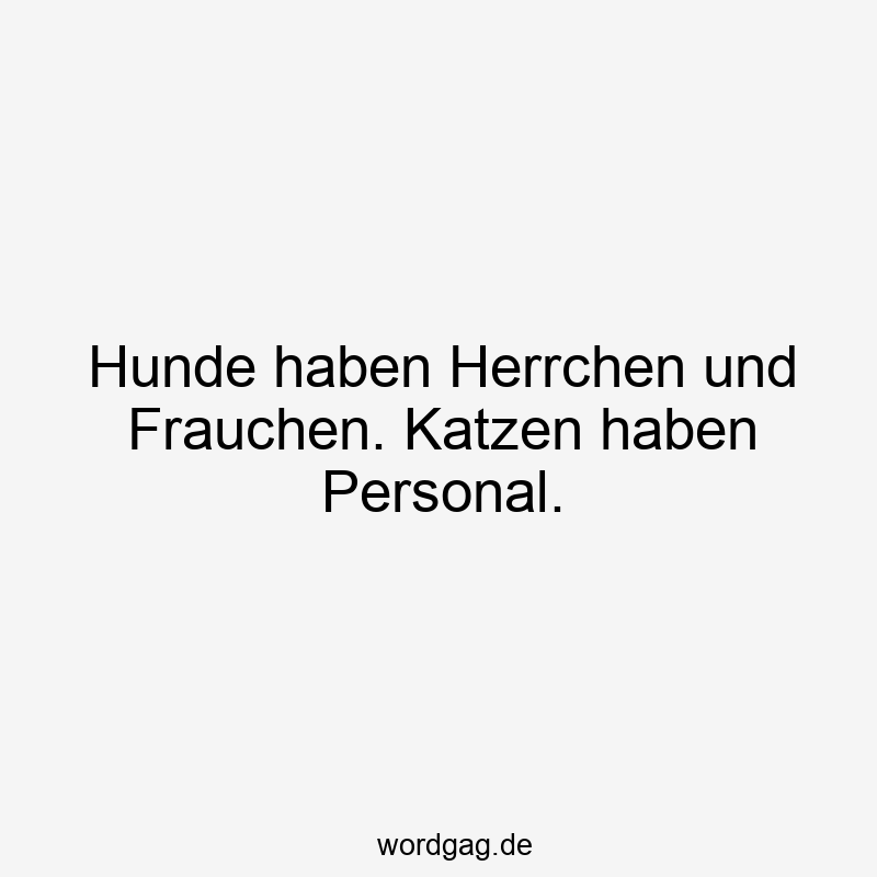 Lustige Sprüche: Personal - Hunde haben Herrchen und Frauchen. Katzen haben Personal.