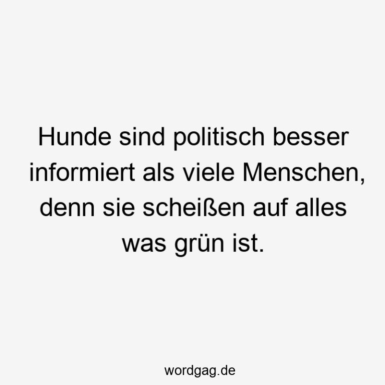 11 Lustige Scheißen Sprüche – Wordgag ツ