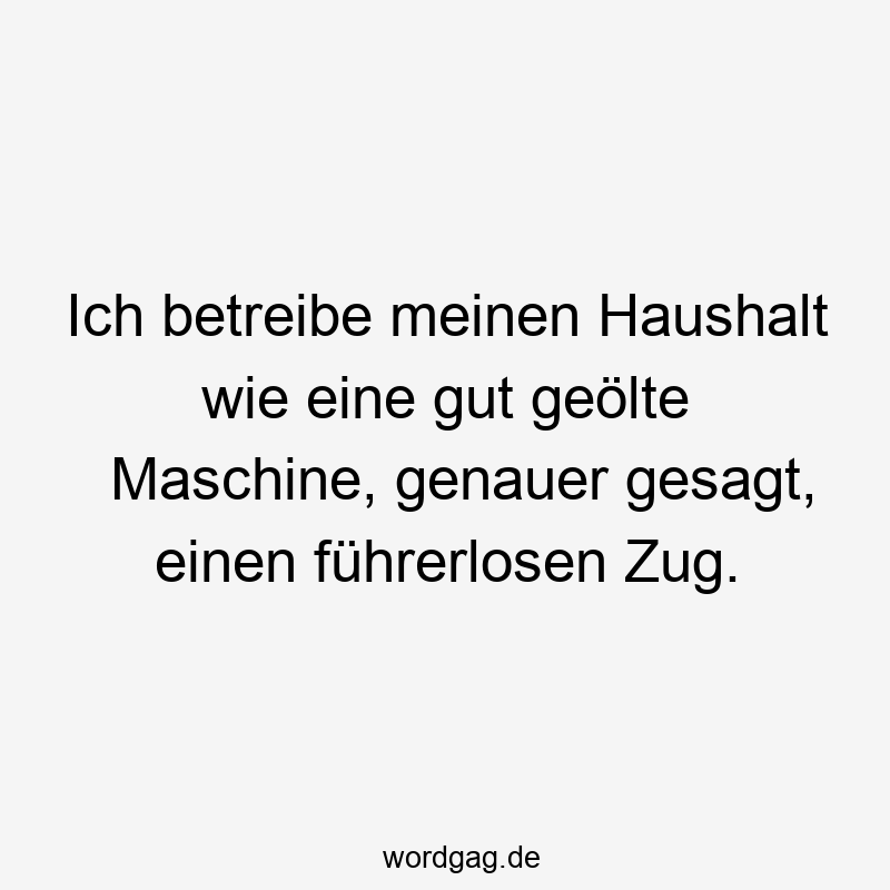 Ich betreibe meinen Haushalt wie eine gut geölte Maschine, genauer gesagt, einen führerlosen Zug.