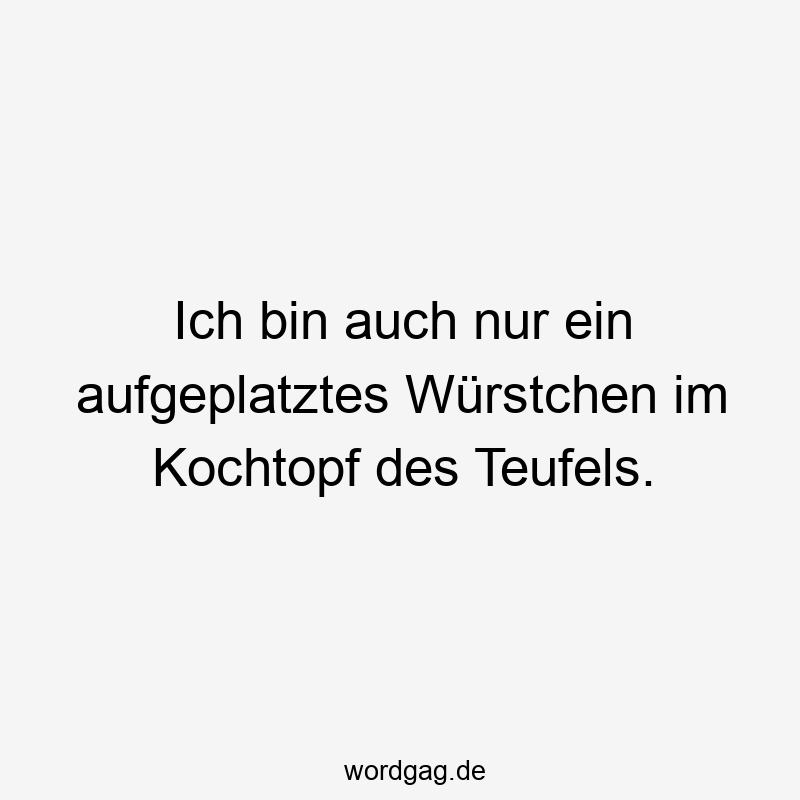 Ich bin auch nur ein aufgeplatztes Würstchen im Kochtopf des Teufels.