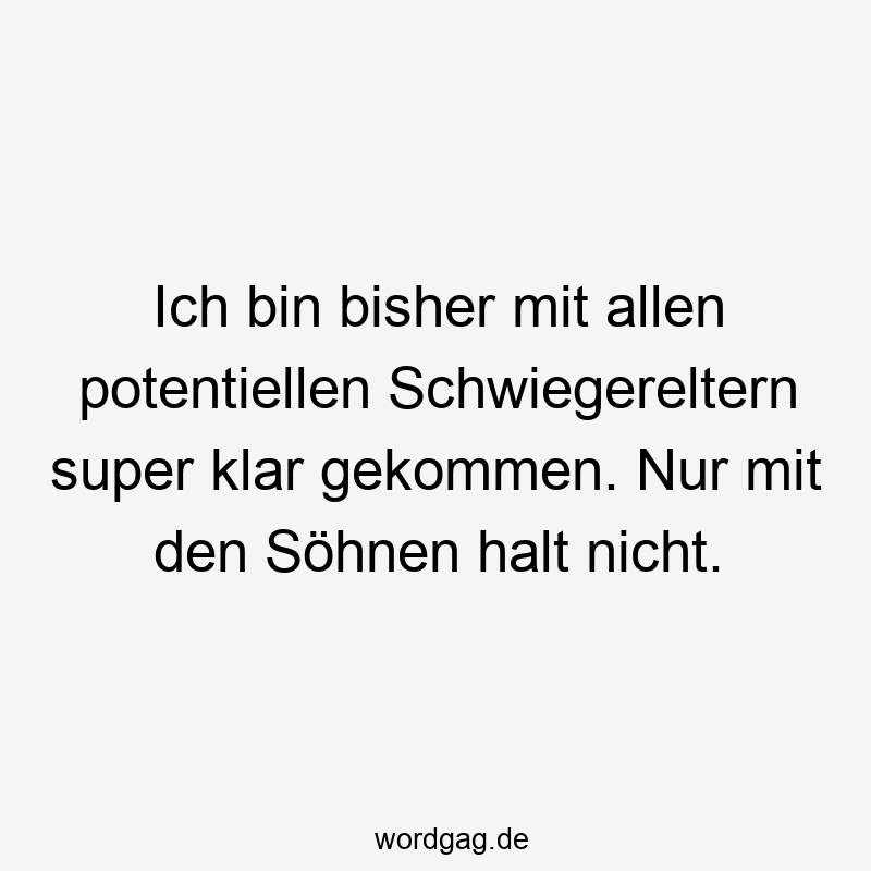 Ich bin bisher mit allen potentiellen Schwiegereltern super klar gekommen. Nur mit den Söhnen halt nicht.