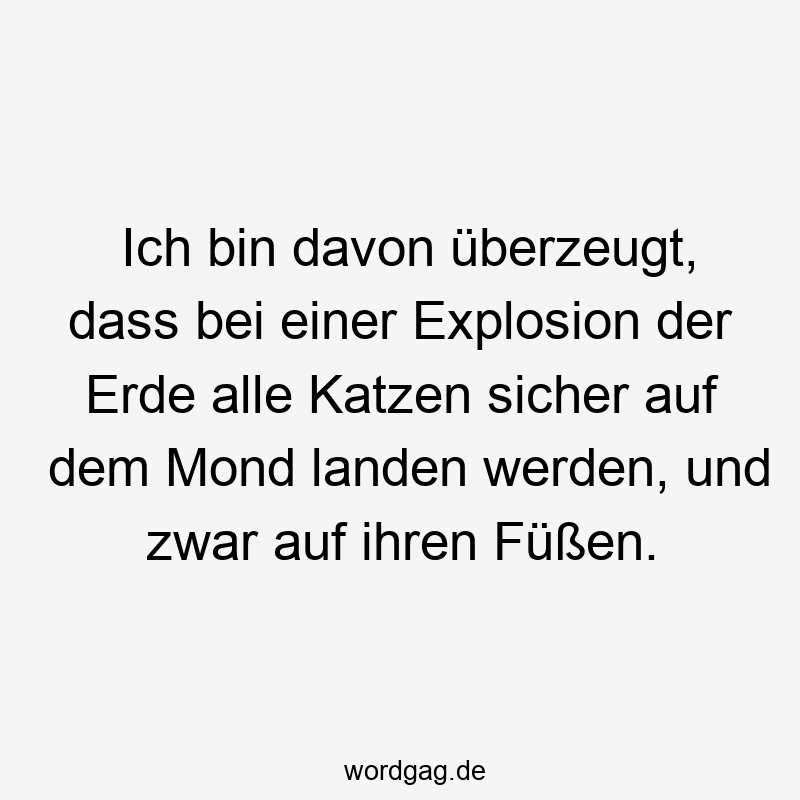 Ich bin davon überzeugt, dass bei einer Explosion der Erde alle Katzen sicher auf dem Mond landen werden, und zwar auf ihren Füßen.