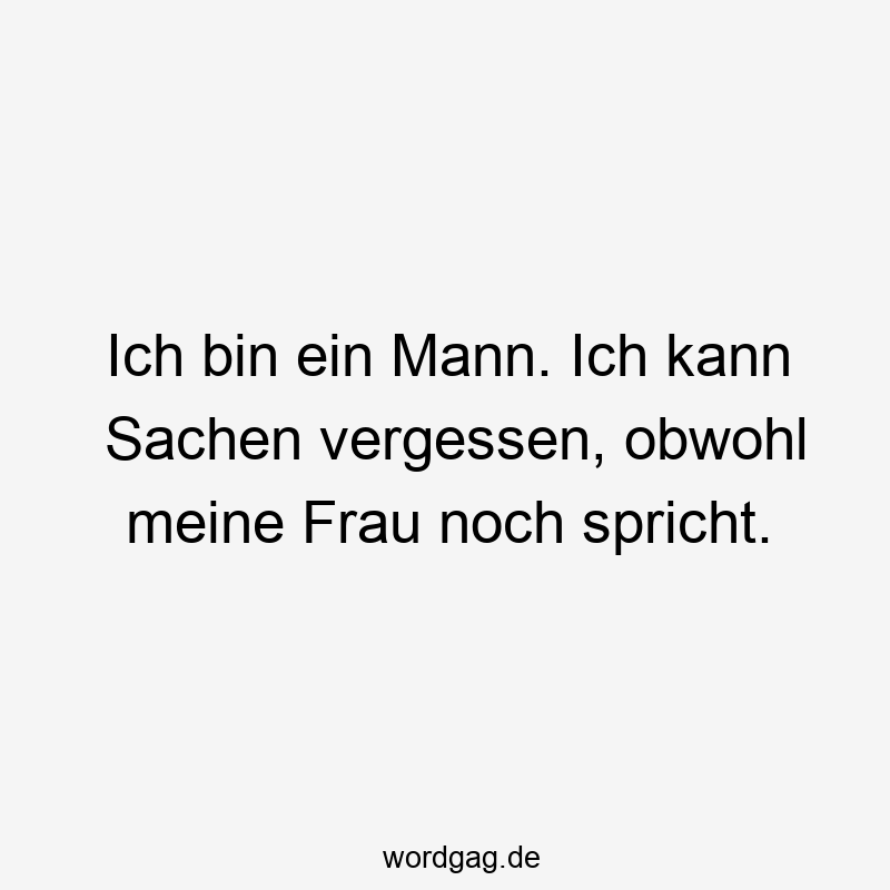 47 Lustige Sachen Sprüche - Ich bin ein Mann. Ich kann Sachen vergessen, obwohl meine Frau noch spricht.