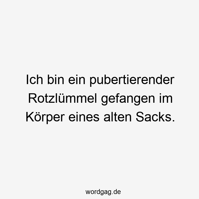 Ich bin ein pubertierender Rotzlümmel gefangen im Körper eines alten Sacks.