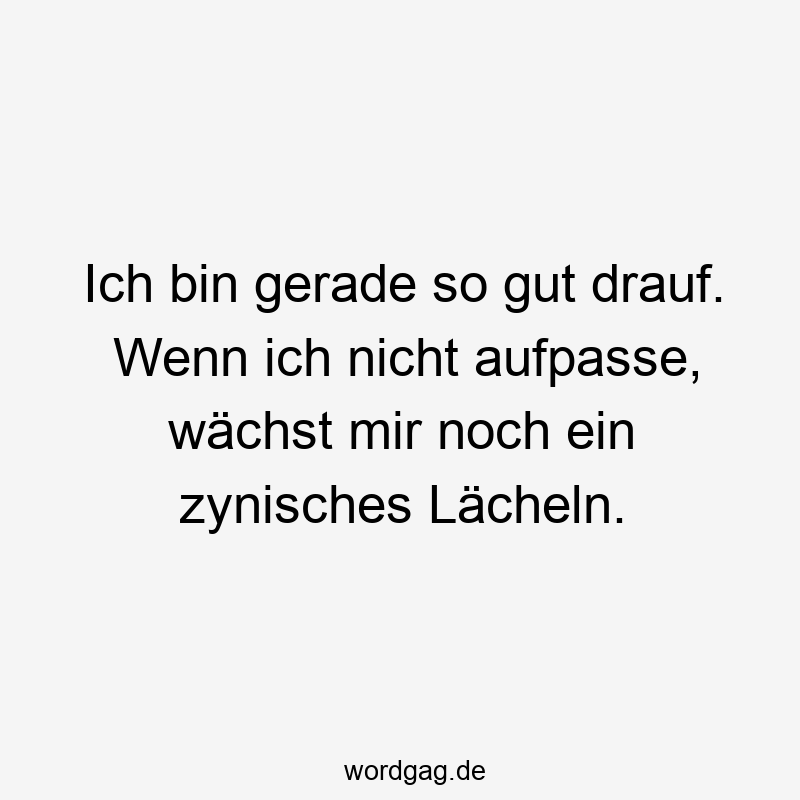 Ich bin gerade so gut drauf. Wenn ich nicht aufpasse, wächst mir noch ein zynisches Lächeln.