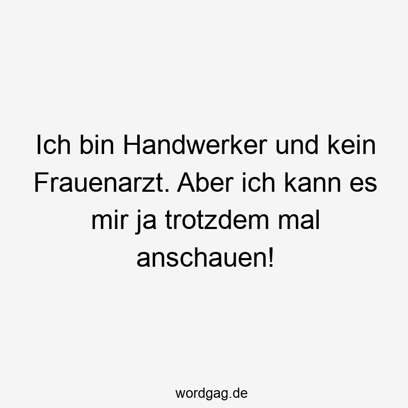 19 Lustige anschauen Sprüche - Ich bin Handwerker und kein Frauenarzt. Aber ich kann es mir ja trotzdem mal anschauen!