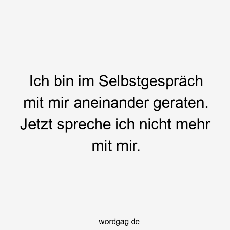 Ich bin im Selbstgespräch mit mir aneinander geraten. Jetzt spreche ich nicht mehr mit mir.