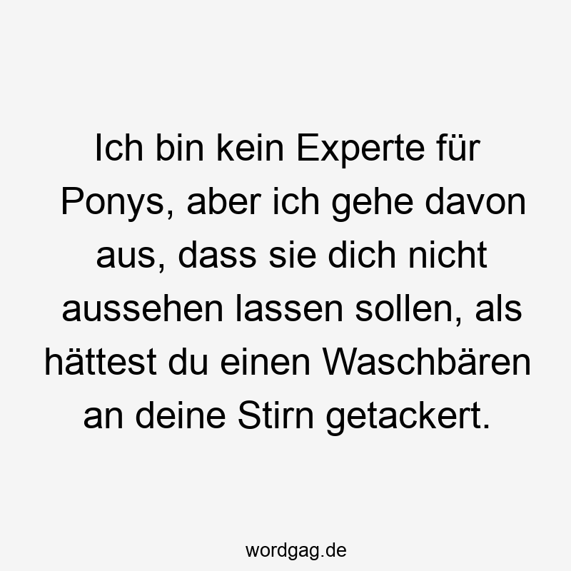 195 Lustige lassen Sprüche - Ich bin kein Experte für Ponys, aber ich gehe davon aus, dass sie dich nicht aussehen lassen sollen, als hättest du einen Waschbären an deine Stirn getackert.