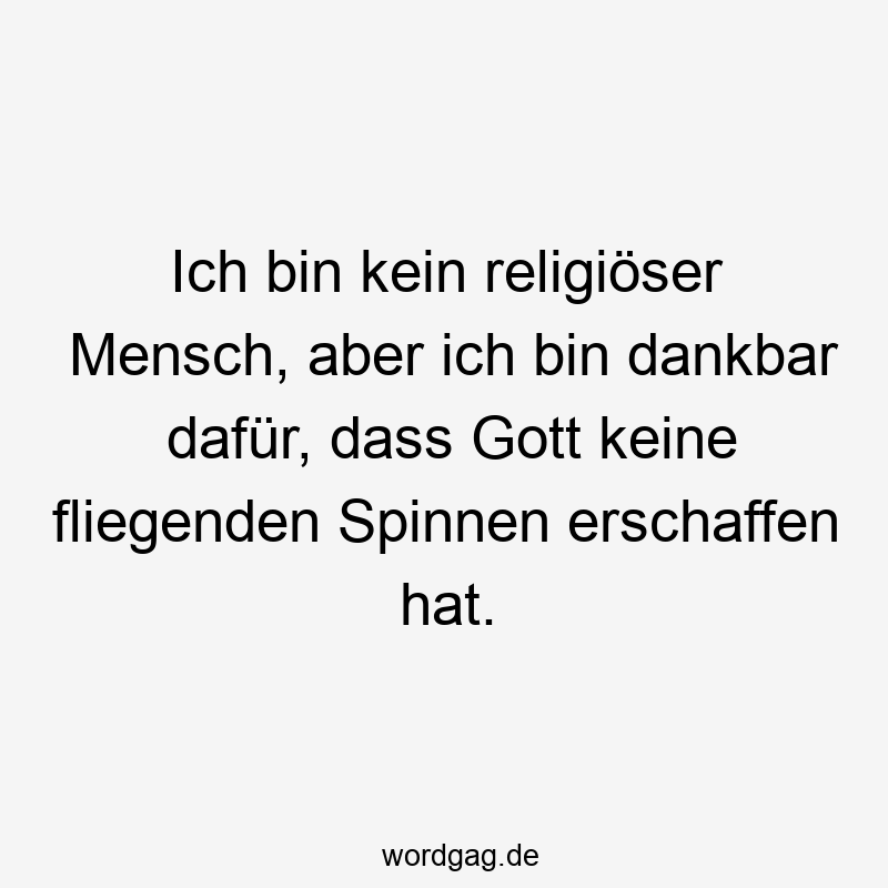 Lustige Sprüche: Spinnen - Ich bin kein religiöser Mensch, aber ich bin dankbar dafür, dass Gott keine fliegenden Spinnen erschaffen hat.